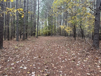 316 Arbor Rd, Linden, TN 37096 - photo 2