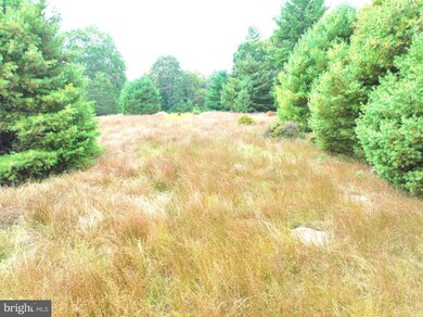 36.02 AC Parker Hollow Rd, Lost River, WV 26801 - photo 4