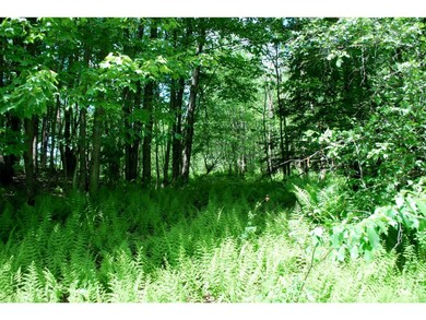 0 Cross Rd unit 4495743, Stowe, VT 05672 - photo 6