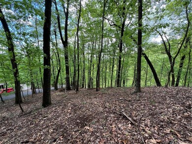 View of tree filled area