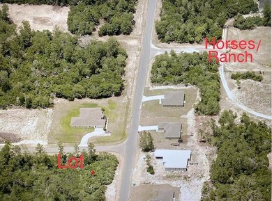 0 SW 18th Ave unit MFRO6147784, Ocala, FL 34473 - photo 3