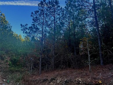 160 Red Fern Trail, Broken Bow, OK 74728 - photo 6