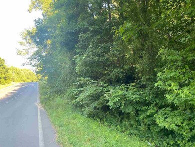 0 Alston Bridge Rd unit 2390690, Siler City, NC 27344 - photo 2