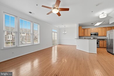 4651 Red Admiral Way unit 157, Fairfax, VA 22033 - photo 6