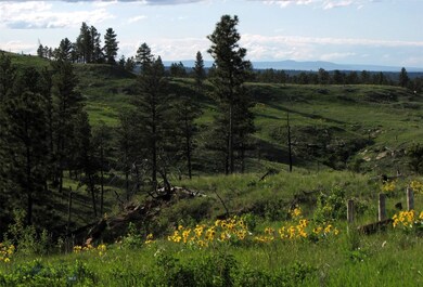 151 Big Clearing Rd, Roundup, MT 59072 - photo 2