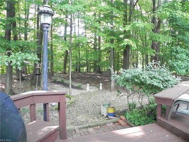 Walk way through the wooded backyard.