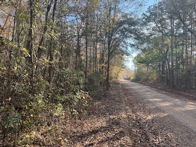 00 County Road 4026, Kosciusko, MS 39090 - photo 2