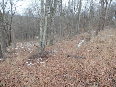 00 Seckman Ridge, St. Marys, WV 26170 - photo 6