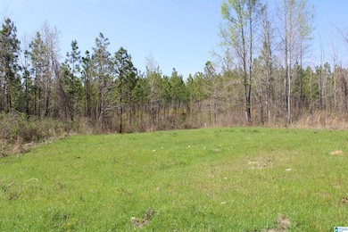0 Danny Holmans Rd unit 21419252, Rockford, AL 35136 - photo 6