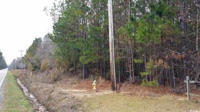 Lot S3 Wedgefield Rd, Georgetown, SC 29440 - photo 6