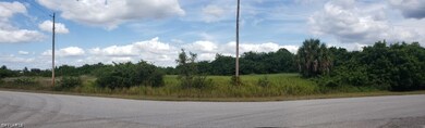 Panoramic view across the street of the block with