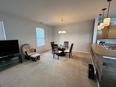 224 Springbrook Trail S unit 3, Oswego, IL 60543 - photo 4