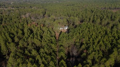 237 Thundering Springs Rd, Leesburg, GA 31763 - photo 7