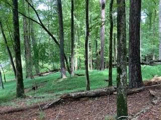 LT 3505R Castle Ct, Ellijay, GA 30540 - photo 4