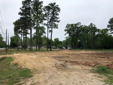 0 Ashworth St unit 17016483, Houston, TX 77016 - photo 2