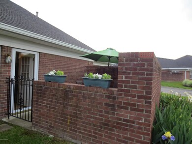 8424 Elsie Ct unit 8424, Louisville, KY 40228 - photo 5