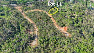LOT 11 Greenfield Rd, Morganton, GA 30560 - photo 7
