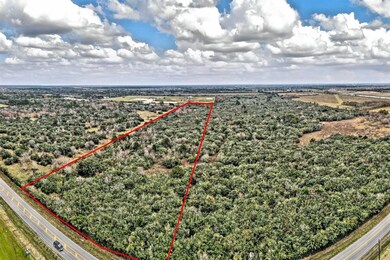 17448 Bauer Rd, Cypress, TX 77447 - photo 7