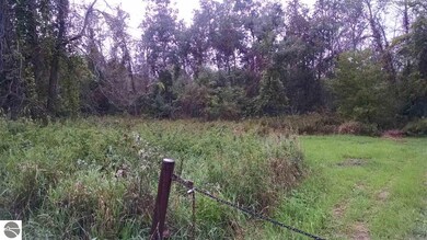 0 N Van Horn Rd, Au Gres, MI 48703 - photo 3