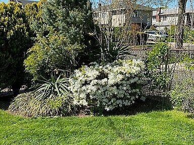 1733 Hancock St, Hewlett, NY 11557 - photo 5