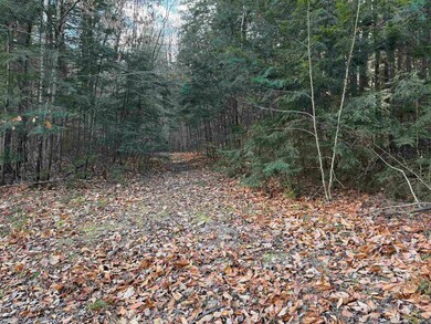 Path at left hand side front of lot