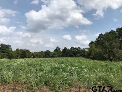 10605 County Road 210, Tyler, TX 75707 - photo 3