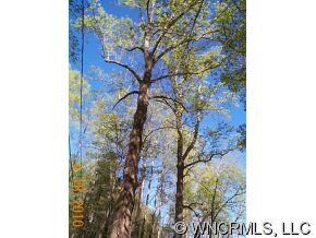 00 Seay Rd, Candler, NC 28715 - photo 4