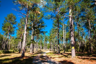 6355 Cobbham Rd, Appling, GA 30802 - photo 6