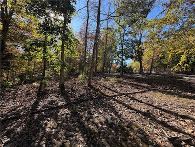 10 Talana Ln, Bella Vista, AR 72715 - photo 2