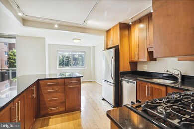 Takoma Overlook Condominium unit 217, Takoma Park, MD 20912 - photo 2