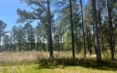 Additional View