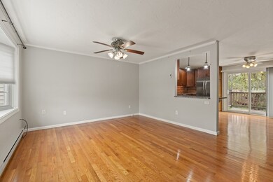 23 Cedar Square, Millis, MA 02054 - photo 6