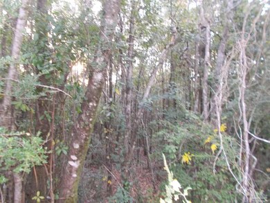 4000 Calico Dr, Cantonment, FL 32533 - photo 3