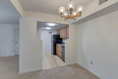 136 Green Turtle Ln unit 8, Charlottesville, VA 22901 - photo 6