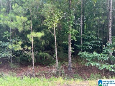 0 County Road 518 unit 21424467, Selma, AL 36701 - photo 2