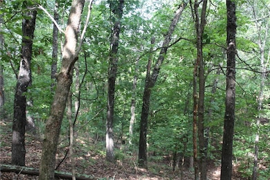 298 E Fox Creek Rd, Flint Creek, OK 74347 - photo 6