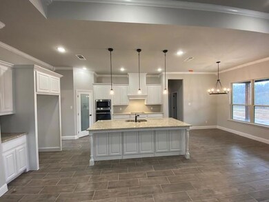 1016 Laramie Rd, Poolville, TX 76487 - photo 6