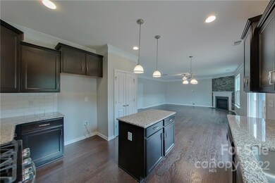 228 Hydrangea Dr, Clover, SC 29710 - photo 5