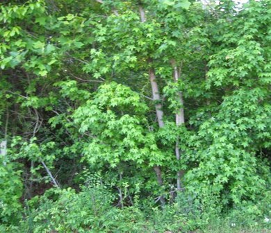 170 Oak Creek Rd unit 449, Statesville, NC 28625 - photo 5