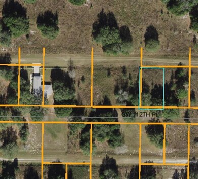 Aerial View of the lot