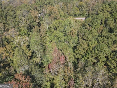 22 Freeman Rd, Lagrange, GA 30240 - photo 6