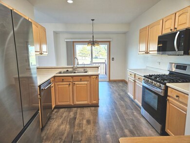 21320 W Douglas Ln, Plainfield, IL 60544 - photo 5