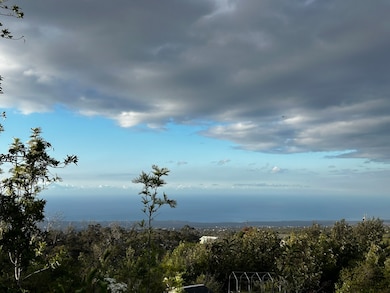 92-8233 Reef Pkwy, Captain Cook, HI 96771 - photo 6