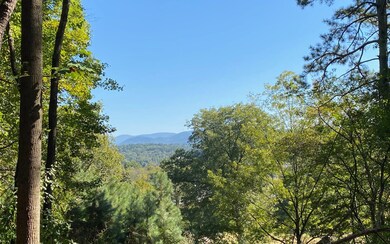 Additional View