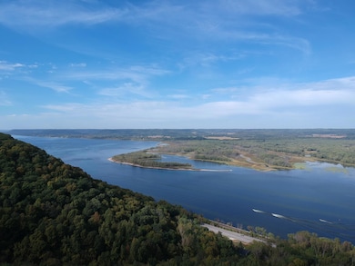 Lot 5 706th St, Pepin Township, MN 55981 - photo 4