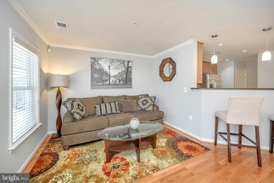 2826 Chinkapin Oak Ln, Woodbridge, VA 22191 - photo 7