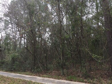 0 Duval Rd unit 868300, Jacksonville, FL 32218 - photo 6