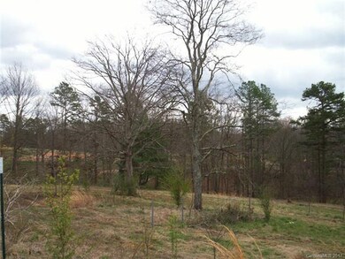 Back yard view West to east