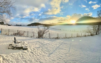 20217 Shadowood Cir, Meadowview, VA 24361 - photo 4