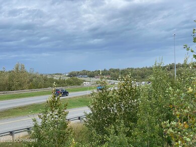 5740 E Blue Lupine Dr, Wasilla, AK 99654 - photo 4